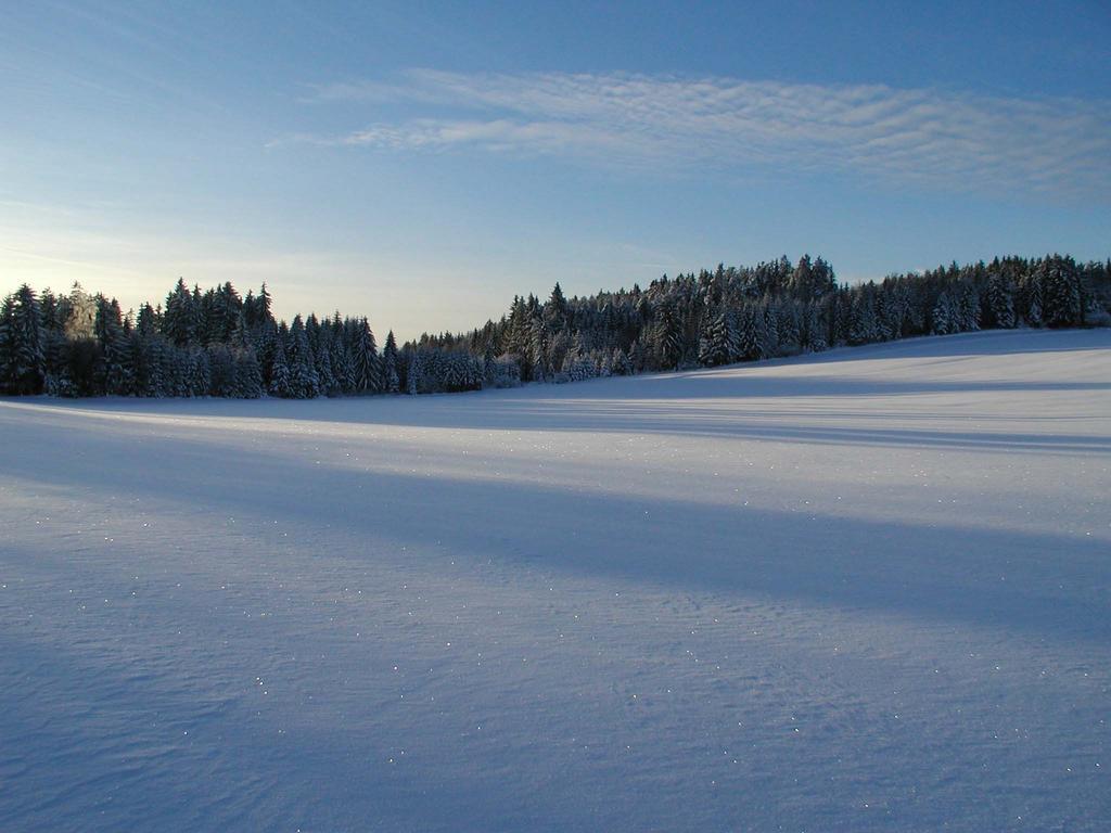 Отель Prinzenhof Gross Gerungs Экстерьер фото