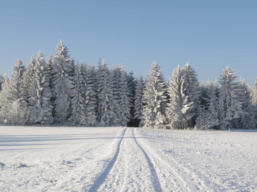 Отель Prinzenhof Gross Gerungs Экстерьер фото